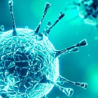 Графік та режим роботи може змінюватись